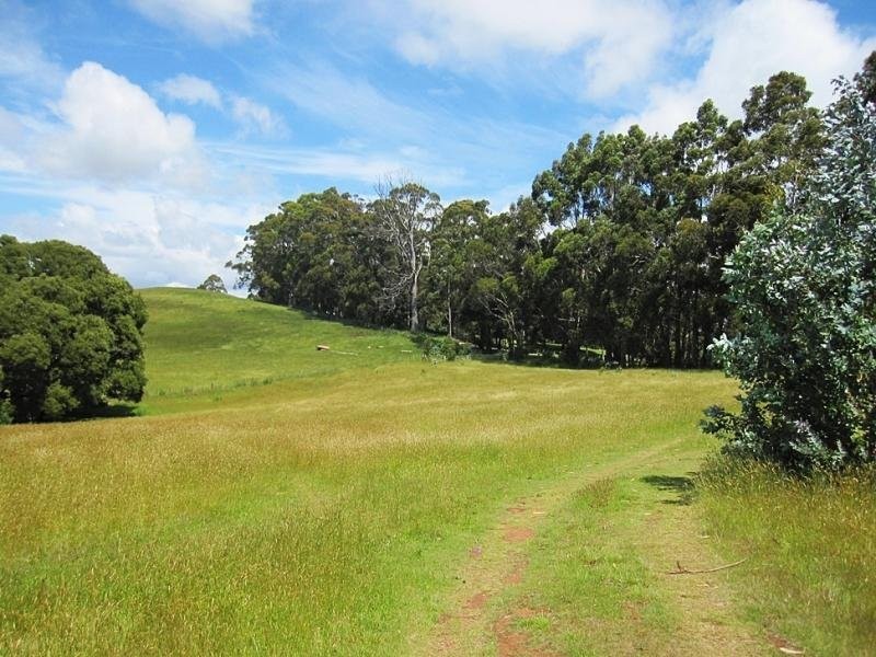 100 Ahernes Road, Paloona TAS 7310