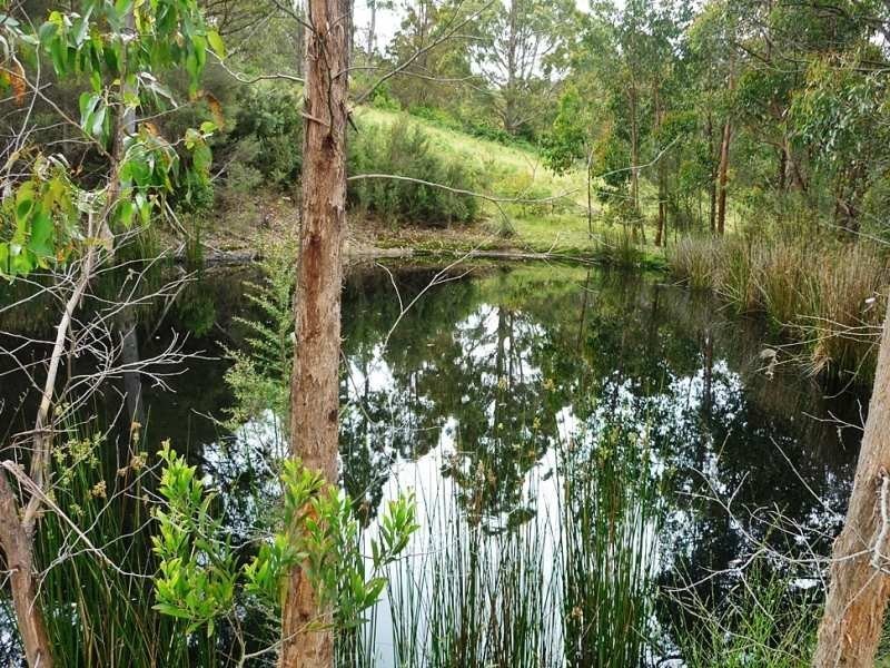 100 Ahernes Road, Paloona TAS 7310