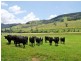 Gunns Plains TAS 7315