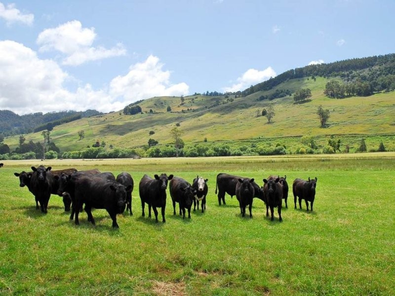 Gunns Plains TAS 7315