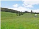 Gunns Plains TAS 7315