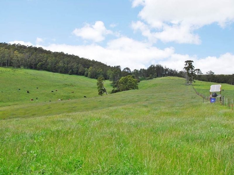 Gunns Plains TAS 7315