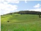 Gunns Plains TAS 7315
