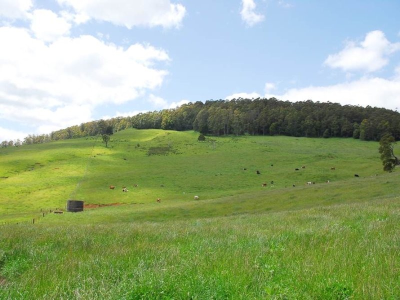 Gunns Plains TAS 7315