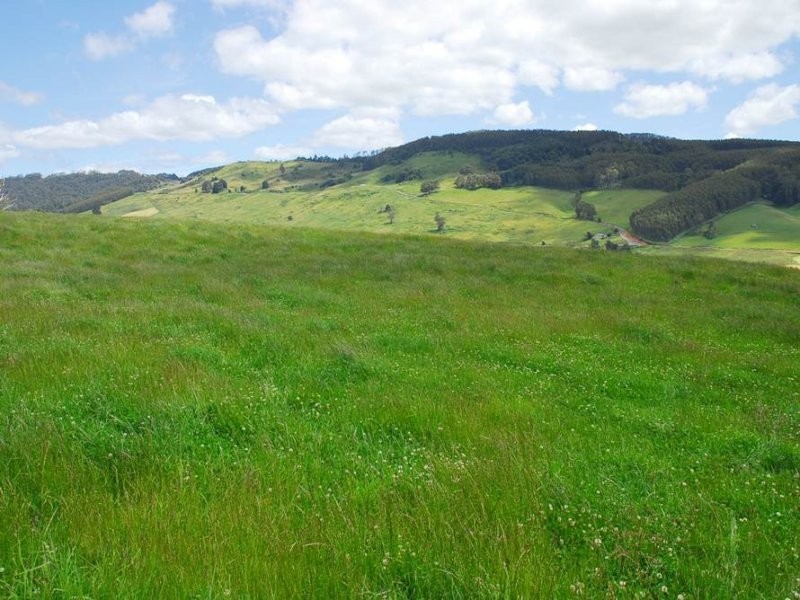 Gunns Plains TAS 7315