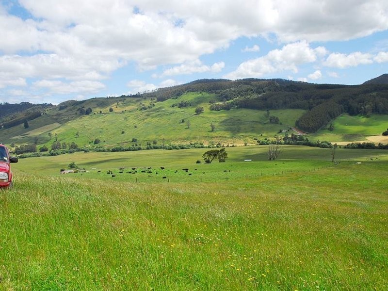 Gunns Plains TAS 7315
