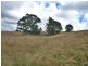 281 Camena Road, Natone TAS 7321