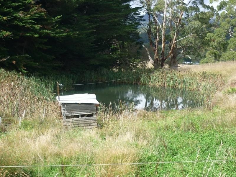 281 Camena Road, Natone TAS 7321