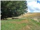 281 Camena Road, Natone TAS 7321