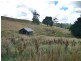281 Camena Road, Natone TAS 7321