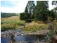 281 Camena Road, Natone TAS 7321