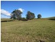 281 Camena Road, Natone TAS 7321