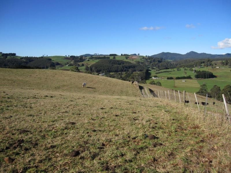 281 Camena Road, Natone TAS 7321