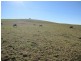 281 Camena Road, Natone TAS 7321