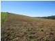 281 Camena Road, Natone TAS 7321