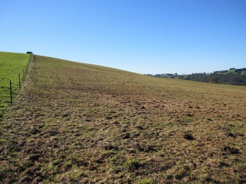 281 Camena Road, Natone TAS 7321