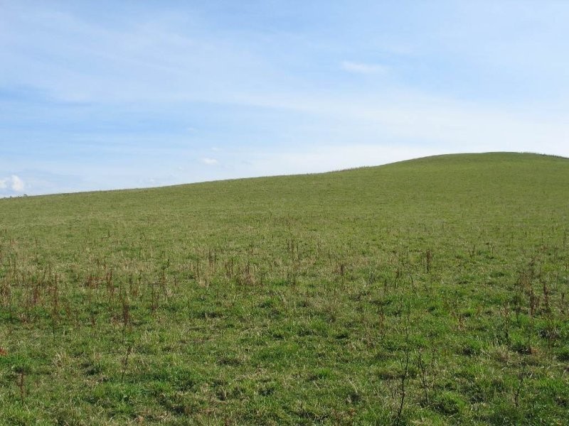 1 Barrington Road, Barrington TAS 7306