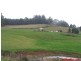 West Kentish TAS 7306
