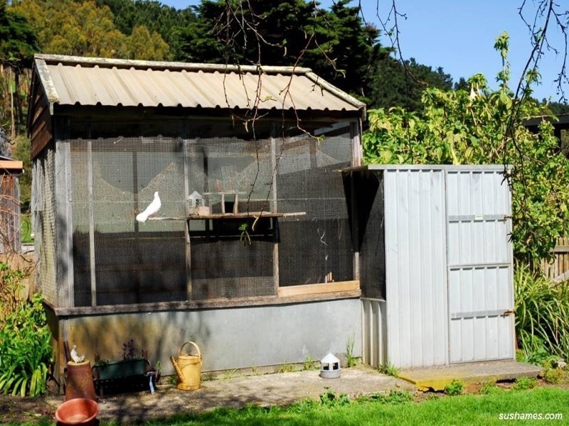 15 Lillico Road, Lillico TAS 7310