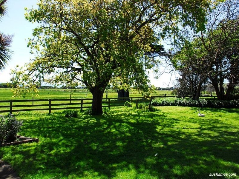 15 Lillico Road, Lillico TAS 7310