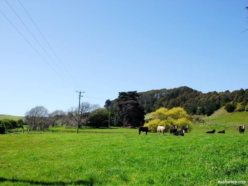 15 Lillico Road, Lillico TAS 7310