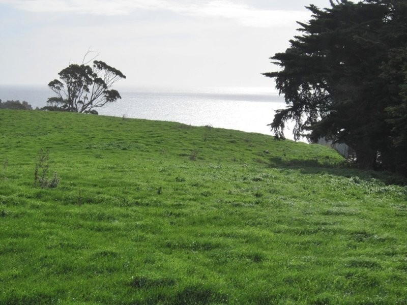 205 Westridge Road, Penguin TAS 7316