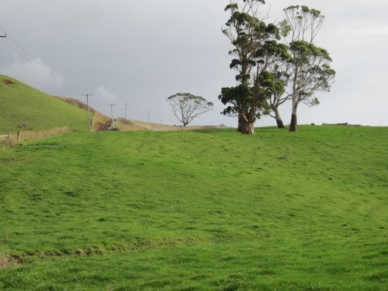 205 Westridge Road, Penguin TAS 7316