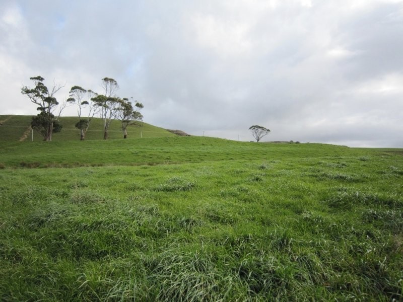 205 Westridge Road, Penguin TAS 7316