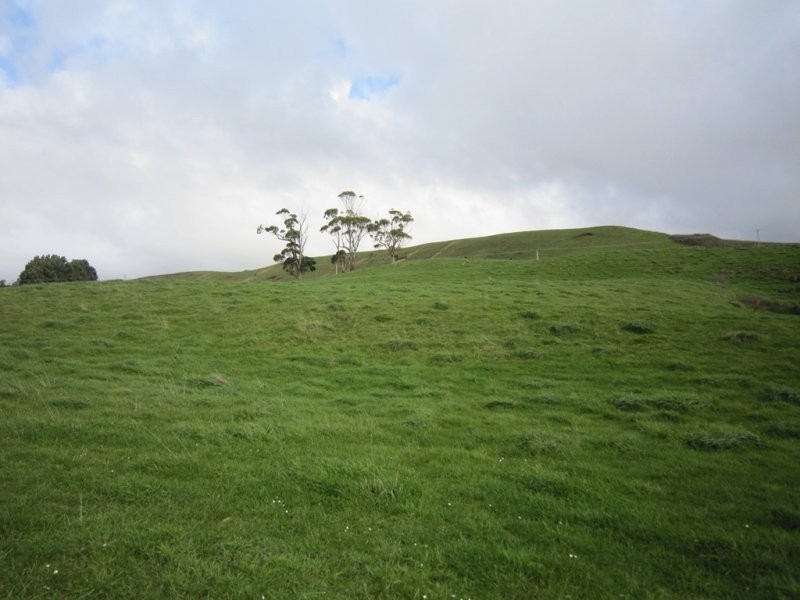 205 Westridge Road, Penguin TAS 7316