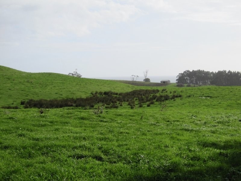 205 Westridge Road, Penguin TAS 7316