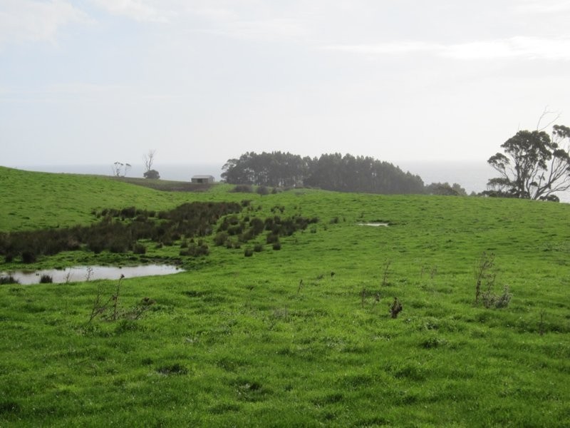 205 Westridge Road, Penguin TAS 7316