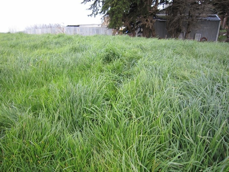 205 Westridge Road, Penguin TAS 7316