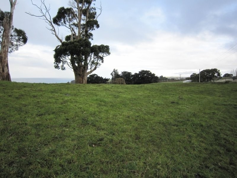 205 Westridge Road, Penguin TAS 7316