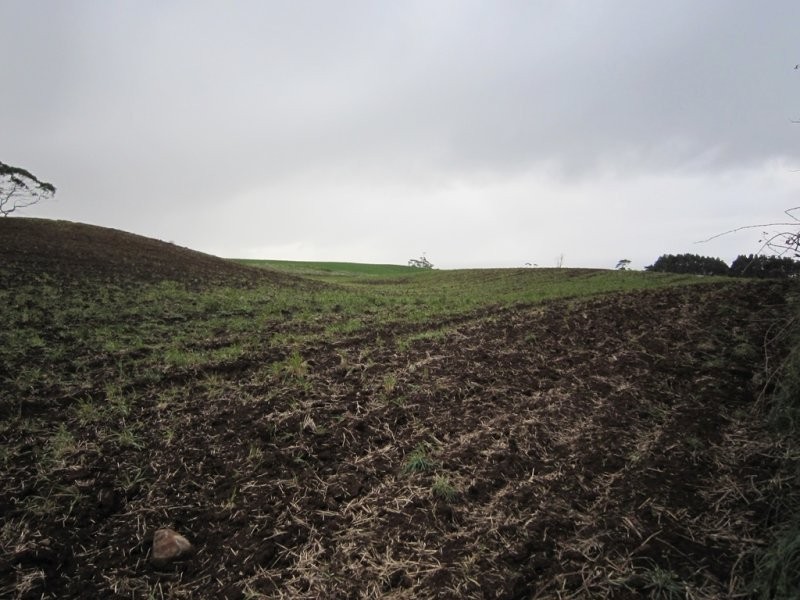 205 Westridge Road, Penguin TAS 7316