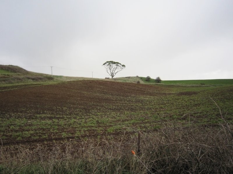 205 Westridge Road, Penguin TAS 7316