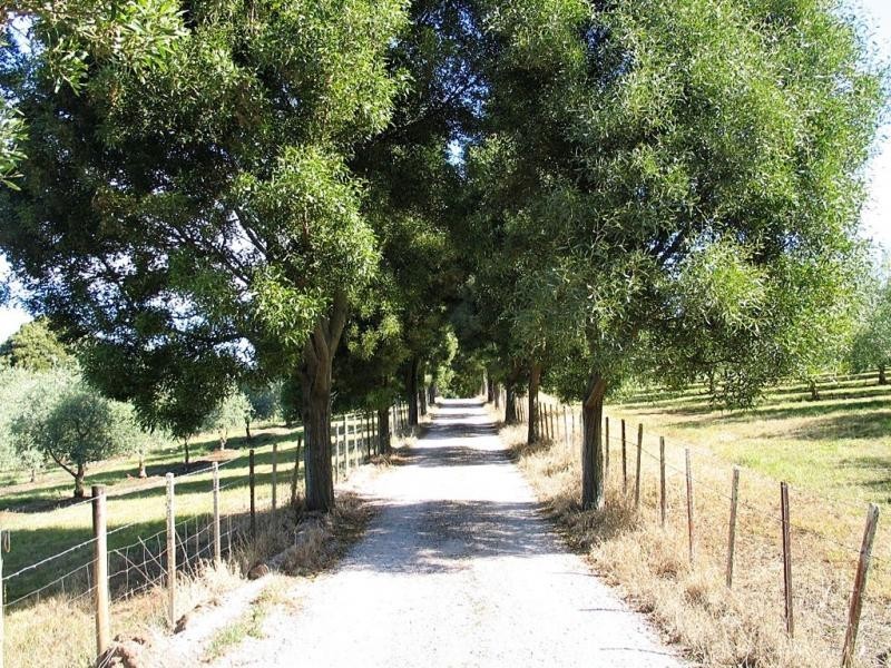 Lower Barrington TAS 7306
