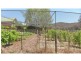 916 Claude Road, Sheffield TAS 7306