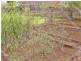 916 Claude Road, Sheffield TAS 7306
