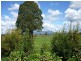 1468 Sheffield Road, Barrington TAS 7306