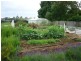 1468 Sheffield Road, Barrington TAS 7306