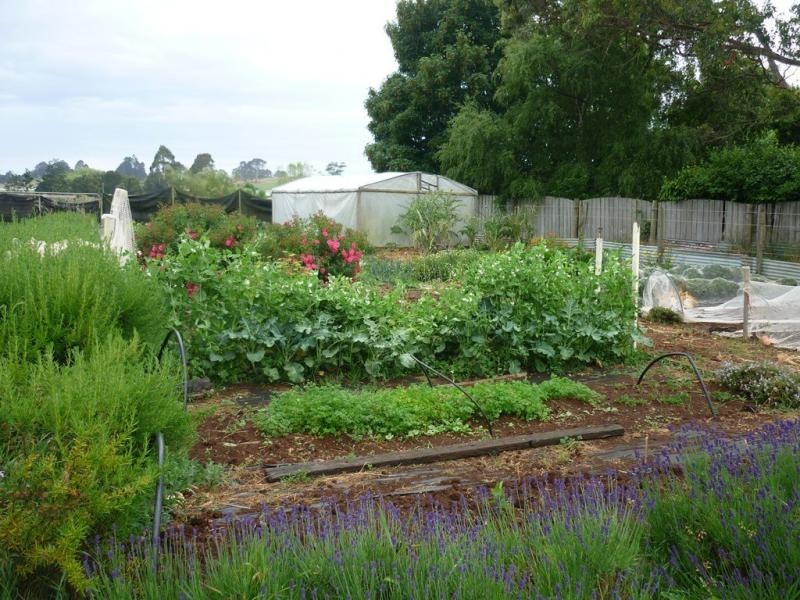 1468 Sheffield Road, Barrington TAS 7306