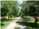 1468 Sheffield Road, Barrington TAS 7306