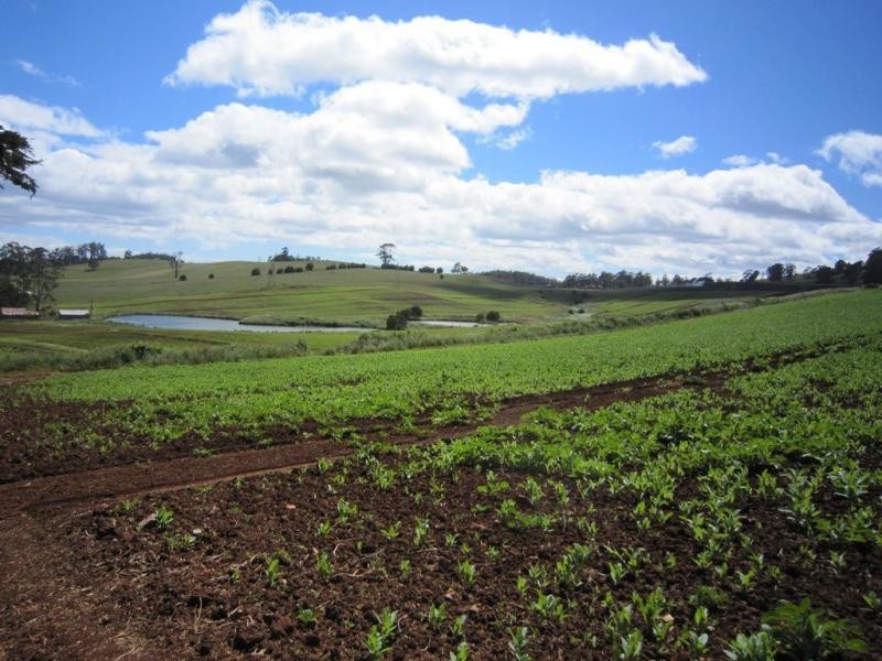 605 Castra Road, Abbotsham TAS 7315