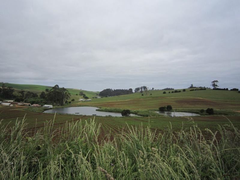 605 Castra Road, Abbotsham TAS 7315