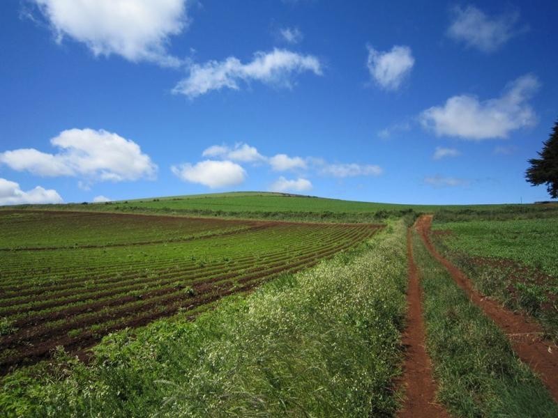 605 Castra Road, Abbotsham TAS 7315