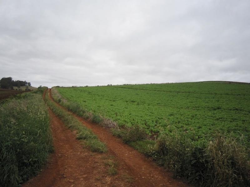 605 Castra Road, Abbotsham TAS 7315