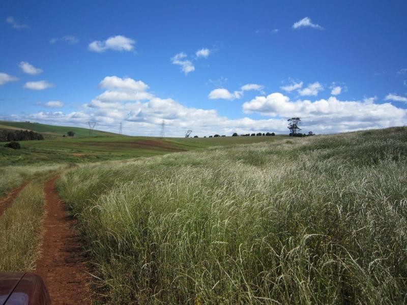 605 Castra Road, Abbotsham TAS 7315