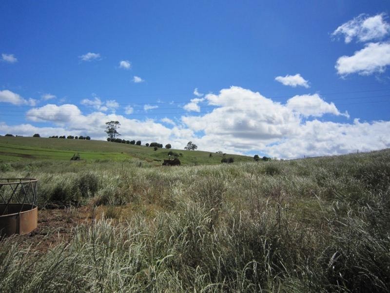 605 Castra Road, Abbotsham TAS 7315