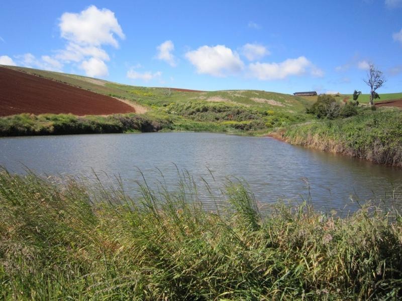 605 Castra Road, Abbotsham TAS 7315