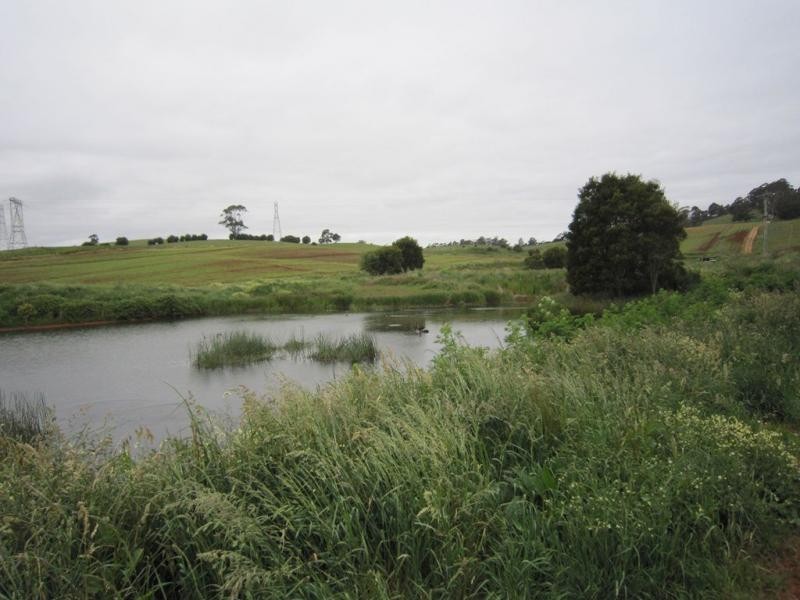 605 Castra Road, Abbotsham TAS 7315